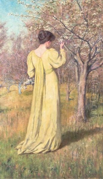 Mrs Mccubbin Picking Blossom (spring) - view 1