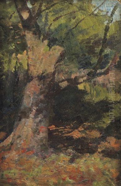 Bush Study - view 1