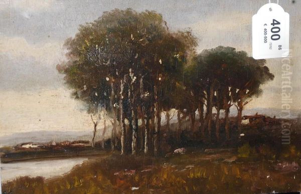 Paesaggio - view 1