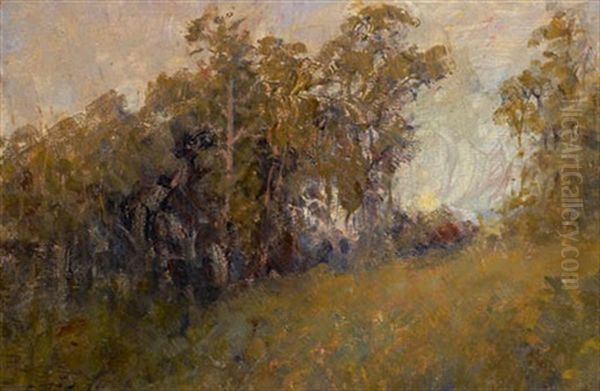 Macedon Landscape - view 1