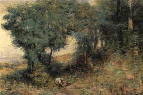 Wattle Glade - view 1