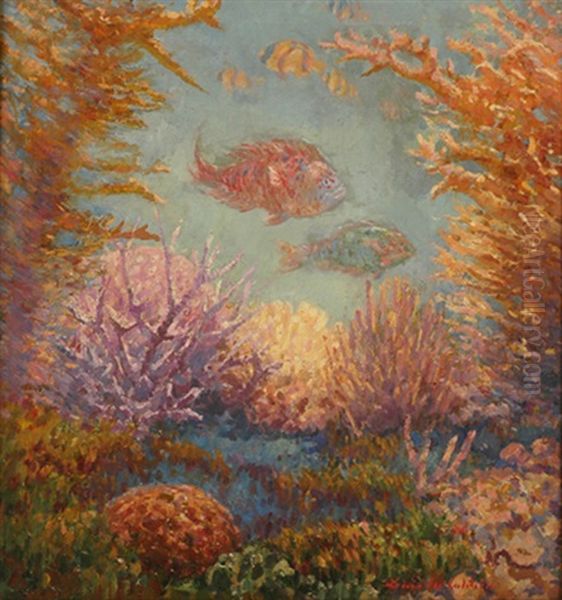 Submarine Garden (great Barrier Reef) - view 1