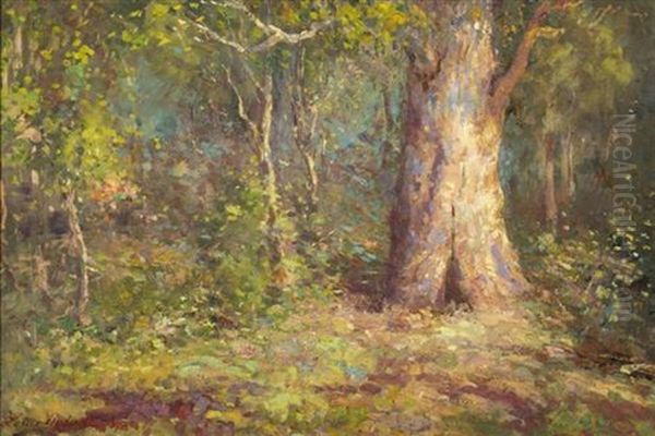 The Heart Of The Bush, Macedon - view 1