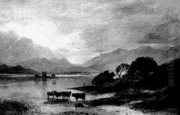 Cattle Watering In The Highlands - view 1