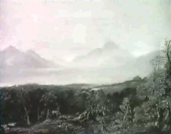 Deer In The Highlands - view 1
