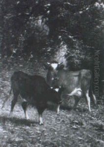 Bovines In A Wooded Landscape Bovines In A Wooded Landscape