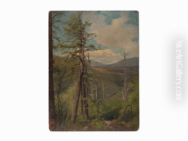Hemlocks: Kauterskill Clove - view 1