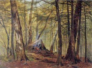 A Camp In The Forest by Jervis McEntee