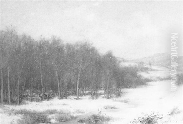 A Winter Camp - view 1