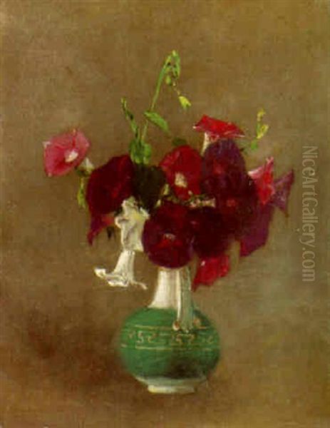 Morning Glories - view 1