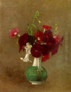 Morning Glories