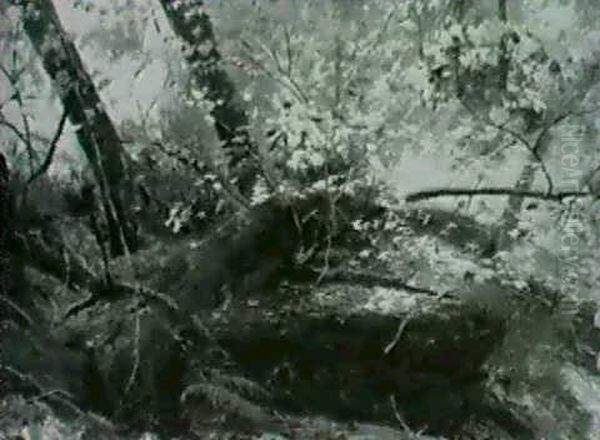 Rocks In The Woods - view 1