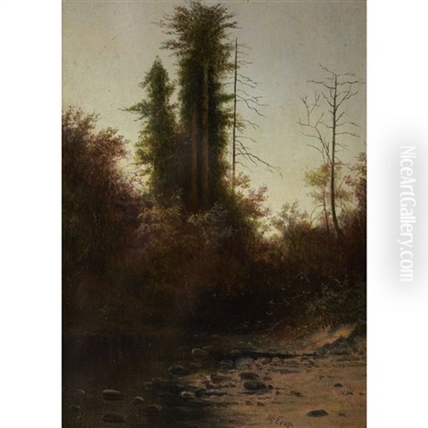 Creek In Autumn - view 1