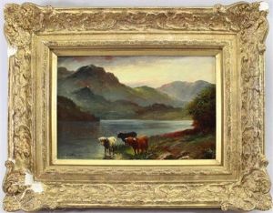 Highland Cattle