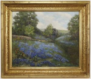 Bluebonnet