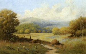 Spring Pasture San Antonio, Texas by Eloise Polk Mcgill