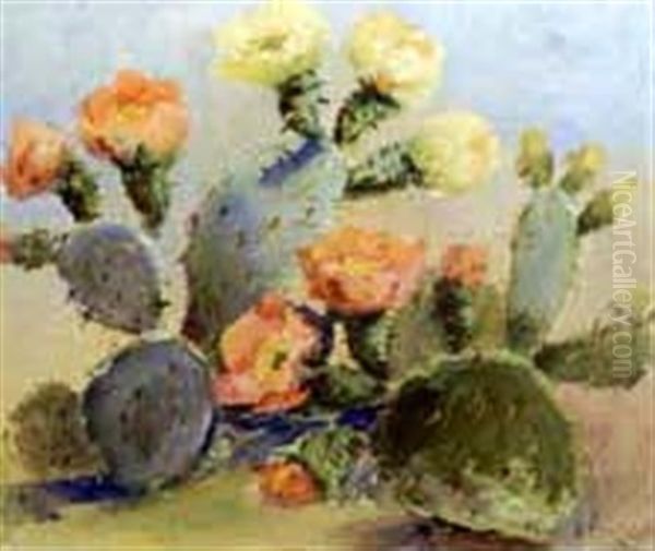 Cactus Flowers - view 1