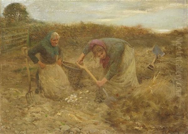 The Potato Harvest - view 1
