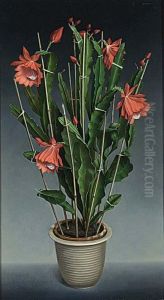A Flowering Cactus by Hugo Berten