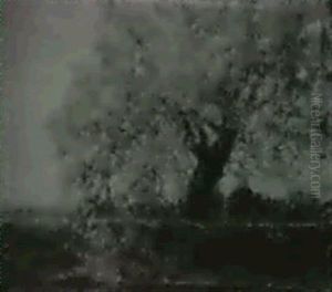 The Old Willow
