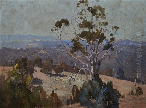 Landscape - view 1
