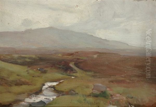 Scottish Highlands - view 1