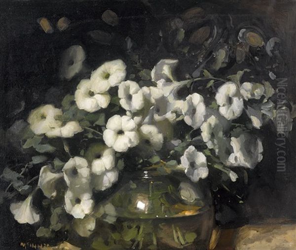 Petunias - view 1
