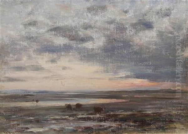 Sunset, Holy Island Sands - view 1