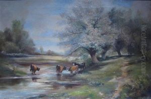Cows By The Stream Cows By The Stream