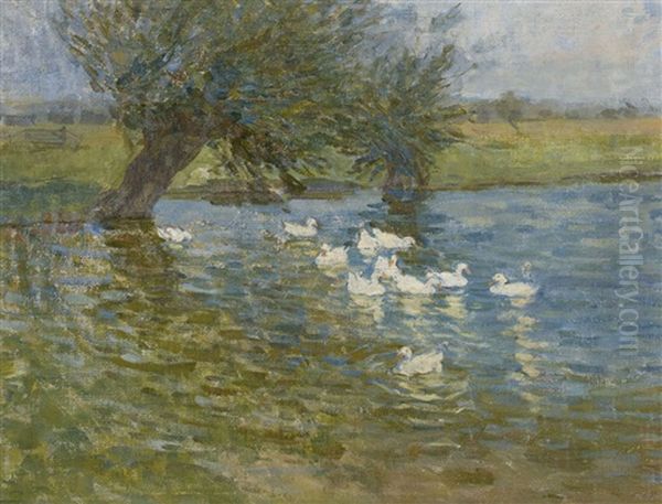 Ducks On A Pond - view 1