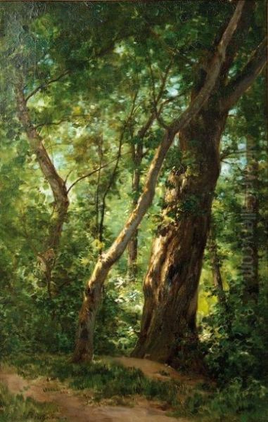 Arbres - view 1
