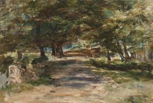 Sunlit Avenue