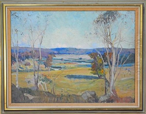 Tai River, Walcha N.s.w - view 1