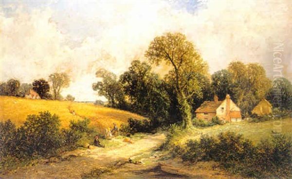 Playing In The Cornfields - view 1