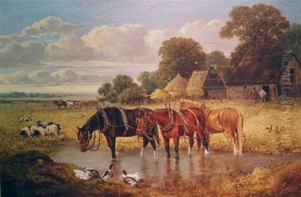 Farmyard Scene With Horses Wading In A Cooling Hole - view 1