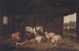 Stable Friends Stable Friends
