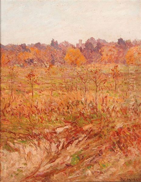 Impressionistic Fall Landscape - view 1