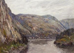 The Ravine
