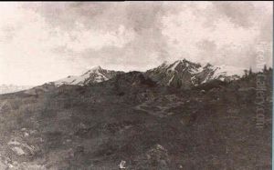 In Alpine Pastures