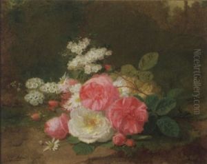 Roses Anciennes Et Primeveres Roses Anciennes Et Primeveres