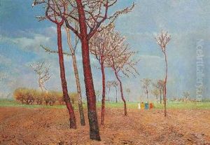 Landschaft An Einem Fruhlingstag