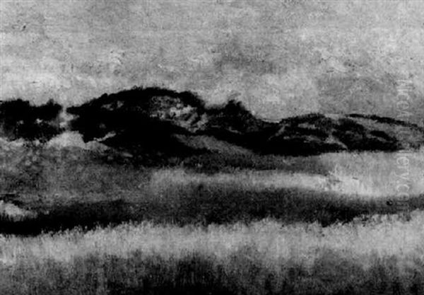 In Den Dunen, Knokke - view 1