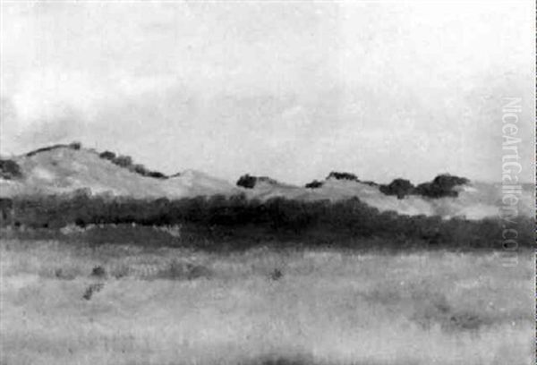 Dunenlandschaft, Knokke - view 1