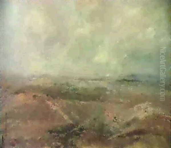 Dunenlandschaft, Knokke - view 1