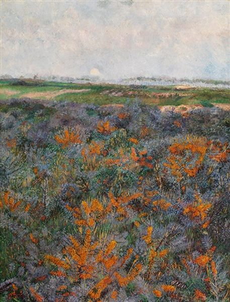 Sea Buckthorn In Knokke - view 1