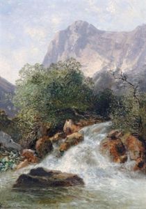 Gebirgsbach In Den Bergen