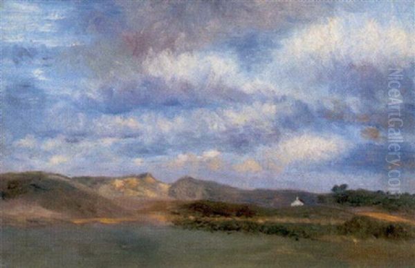 Dunenlandscahft Bei Knokke - view 1