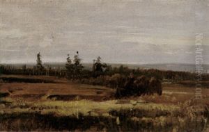 Moorlandschaft Moorlandschaft