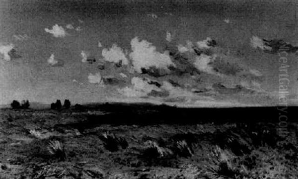 Feld Mit Mohn Und Kornblumen - view 1