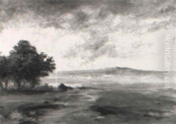 Landschaft Am Starnberger See - view 1